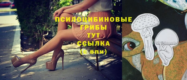2c-b Алексин